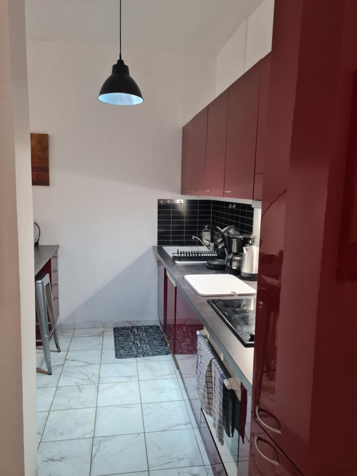 La Palais Osiris Centre Jardin Wifi Clim Parking Apartment *